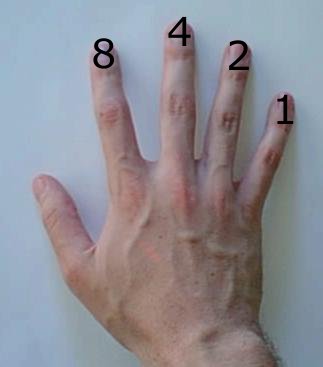 Base-2 computation on a human hand: finger values