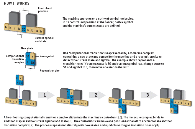 Molecular Turing Machine Model